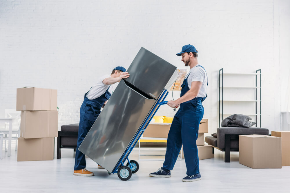 Comprehensive Moving Services in Washington